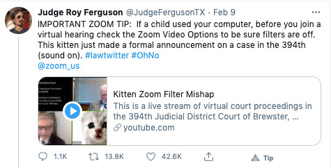 judge ferguson on cat kitten zoom filter