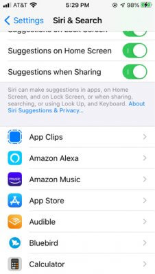 siri and search suggestions app section
